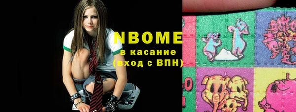 винт Ельня