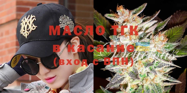 гидра Елабуга