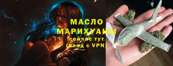 винт Ельня