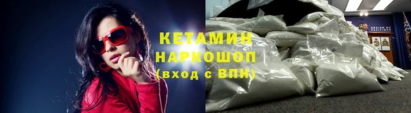 гидра Елабуга