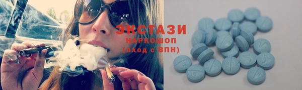 винт Ельня