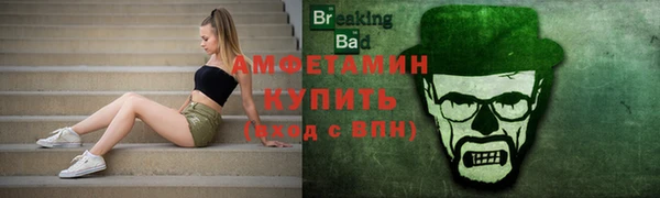 стафф Елизово