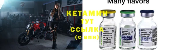 винт Ельня