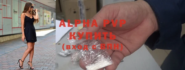 гидра Елабуга