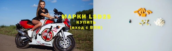 винт Ельня