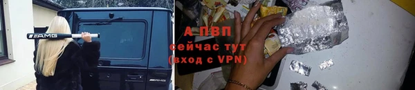 винт Ельня