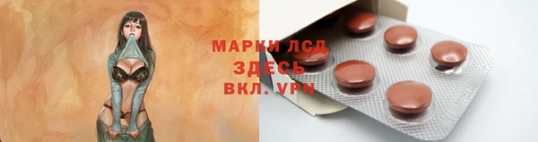 винт Ельня