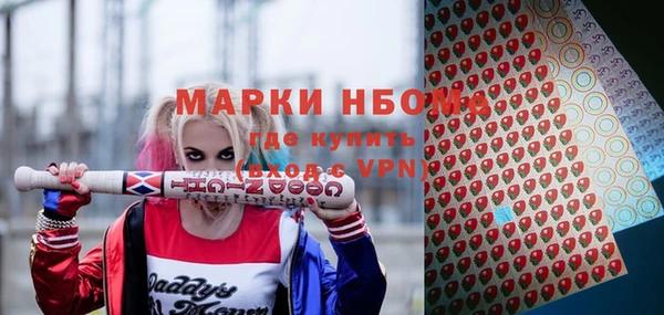 винт Ельня