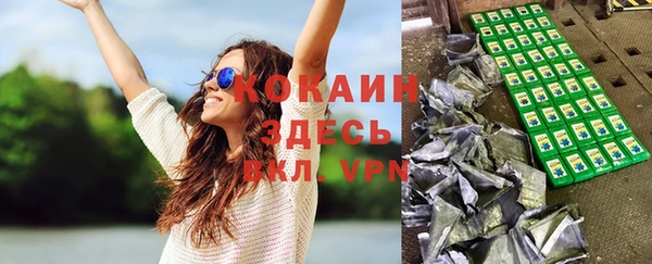 винт Ельня