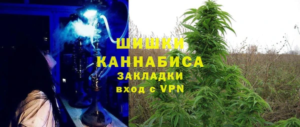 винт Ельня
