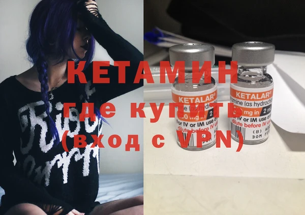 гидра Елабуга