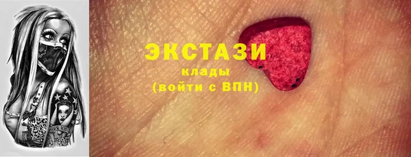 винт Ельня